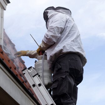 Hornet nest removal in Blackbird Leys
