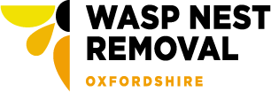 Wasp Nest Removal Oxfordshire